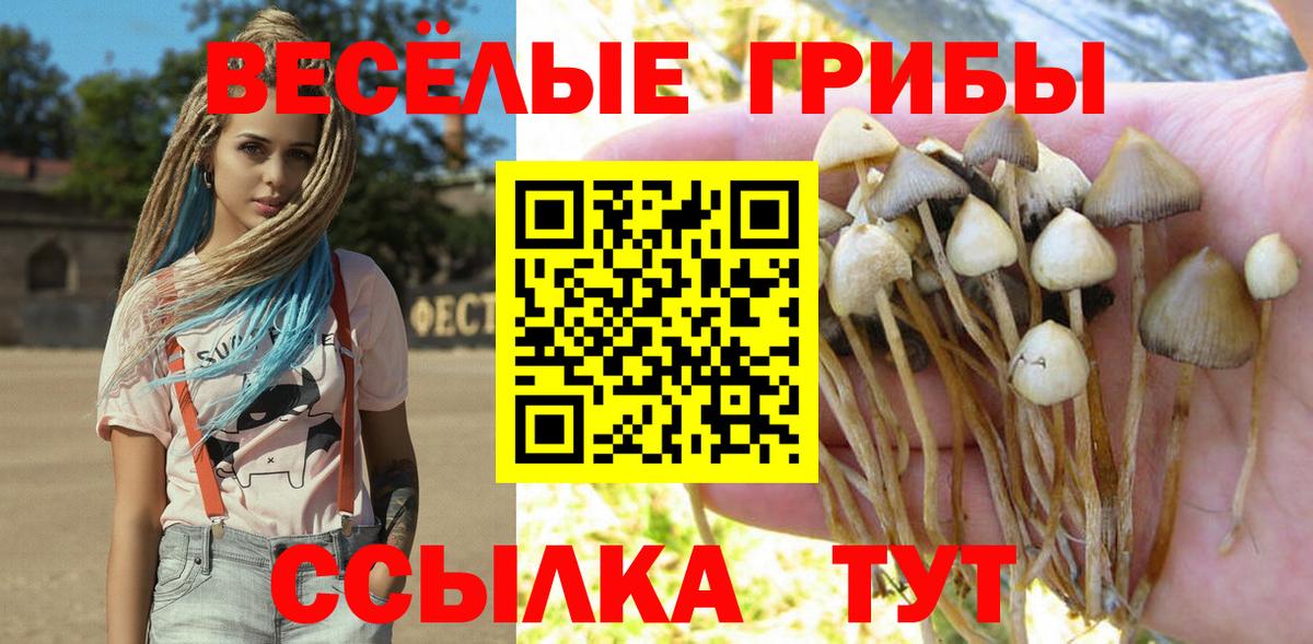 Галлюциногенные грибы Psilocybine cubensis  Вход с VPN  Удомля 
