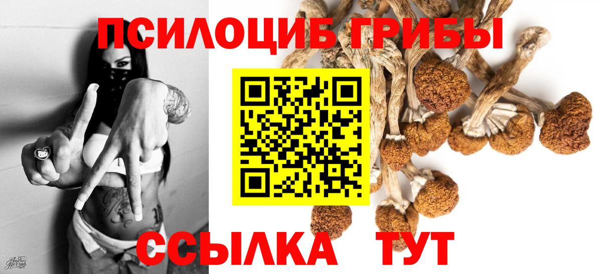 Псилоцибиновые грибы Cubensis Удомля